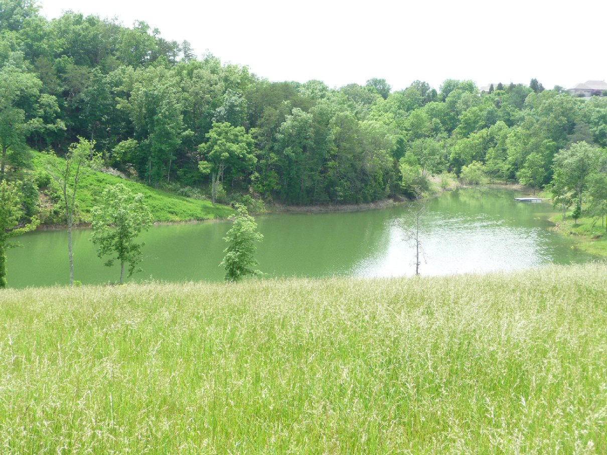 Lot 26 Mountain Lake Drive, Dandridge, TN 37725