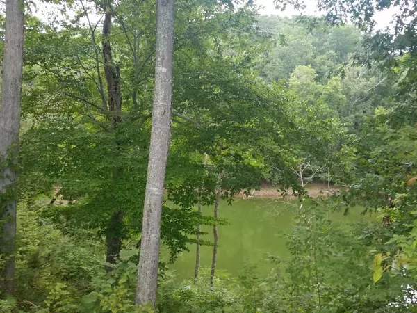 Mooresburg, TN 37811,Lot 206 Harbor PT