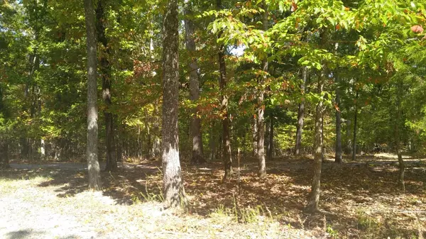 Spring City, TN 37381,Lot 209 & Maple DR