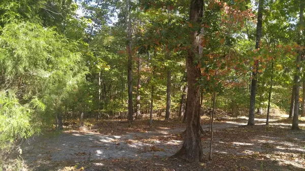 Lot 209 & Maple DR, Spring City, TN 37381