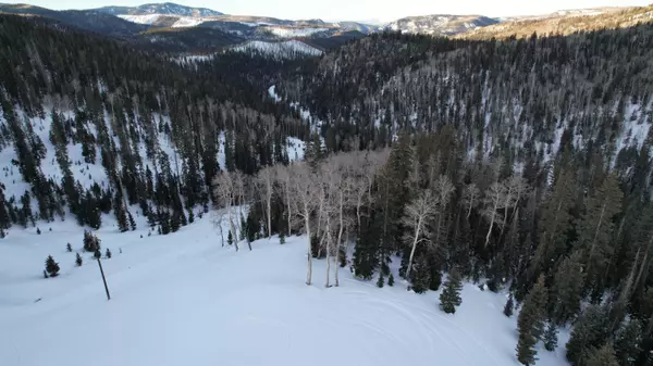 Beaver, UT 84713,West Village Lot 28