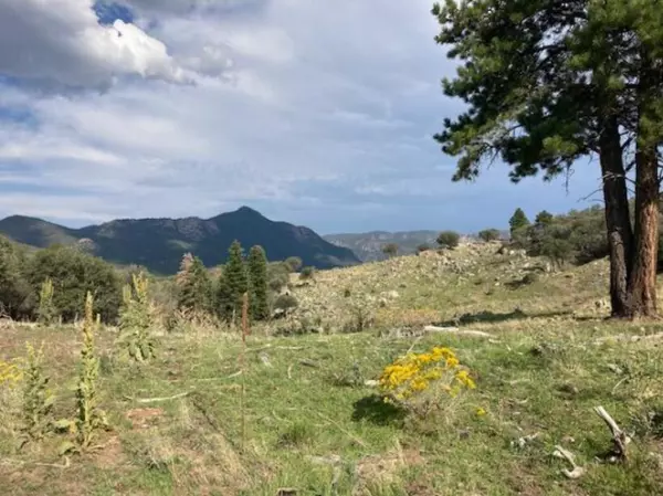 Pine Valley, UT 84781,W 200 W 325 S S