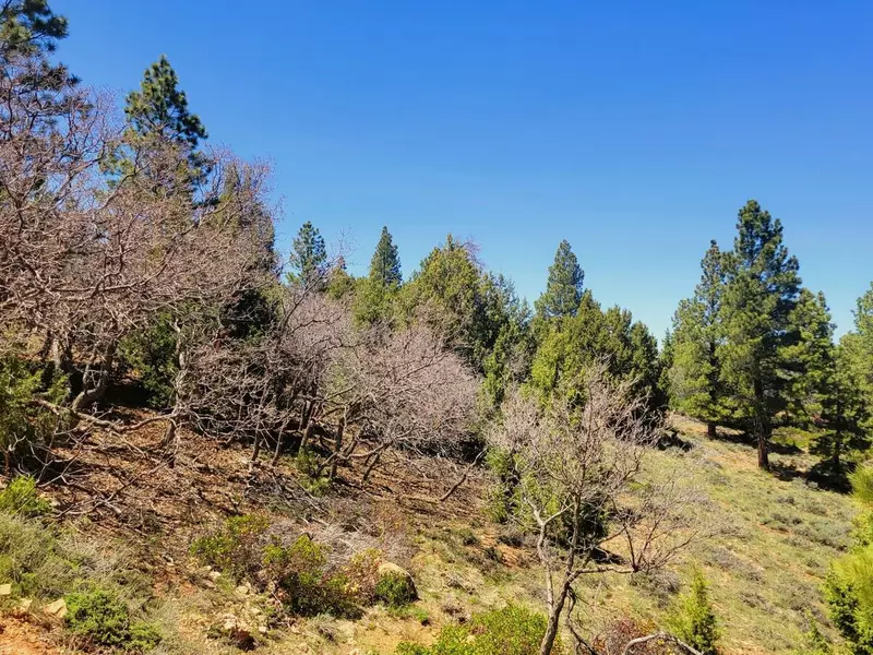 Lot 5 Crestline Ave, Duck Creek Village, UT 84762