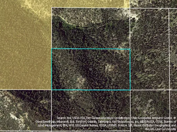 Brian Head, UT 84719,20 ac Near Dry Lakes RD