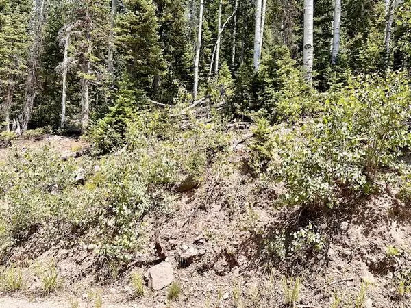 Brian Head, UT 84719,55 S Snow Shoe #Lot 1 Blk B