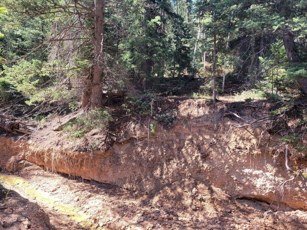 Duck Creek Village, UT 84762,Lot 26 Sequoia DR