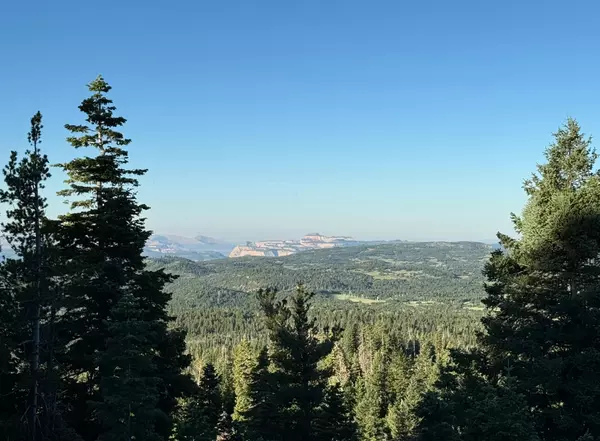 Duck Creek Village, UT 84762,South of and Below Navajo Lake/N Fork R