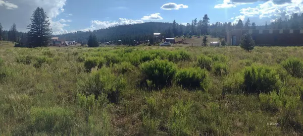 Duck Creek Village, UT 84762,470 N grassy cir