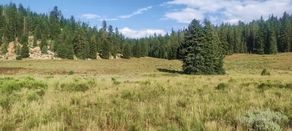 Duck Creek Village, UT 84762,470 N grassy cir