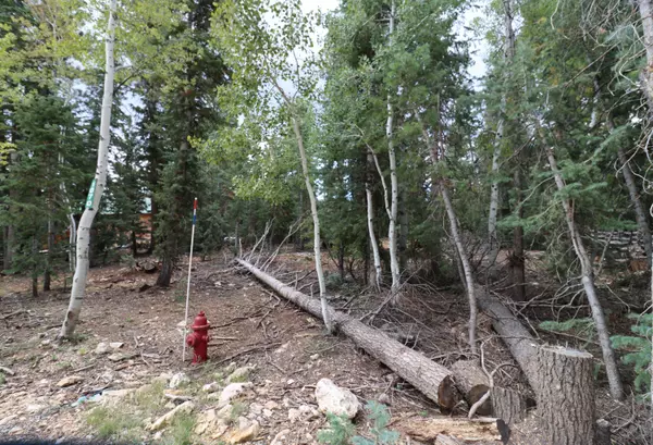 Duck Creek Village, UT 84762,1070 E Bonanza RD