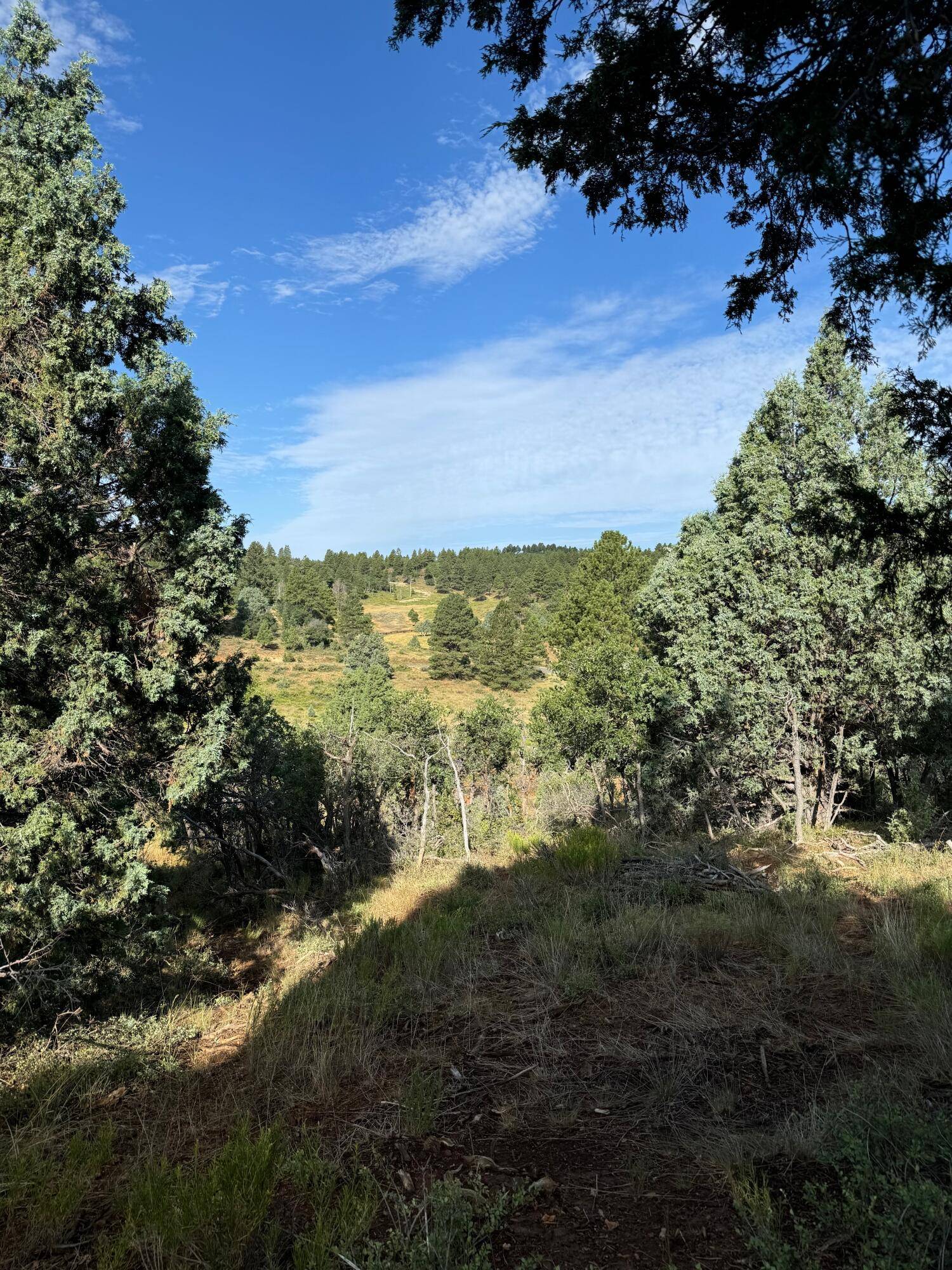 2450 W. Manitoban Trail #Phase e Amended, Duck Creek Village, UT 84762