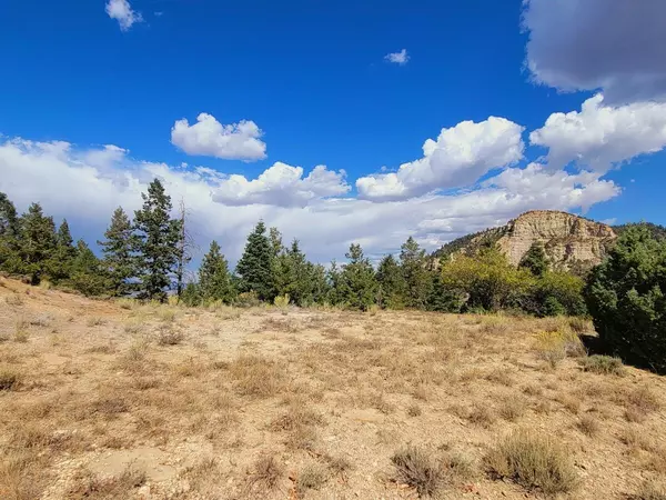 Duck Creek Village, UT 84762,Lot 16 White Sands Loop