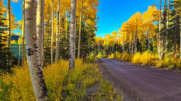 Beaver, UT 84713,Elk Meadows Road