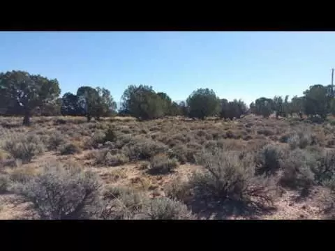 Parcel # D-0456-0095-0001, Cedar City, UT 84721