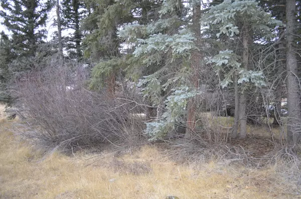 Panguitch Lake, UT 84759,60 N. 1270 W.