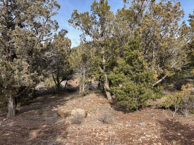 Central, UT 84722,277 N Pinion CIR