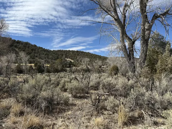 Panguitch, UT 84759,1460 S Rainbow Drive