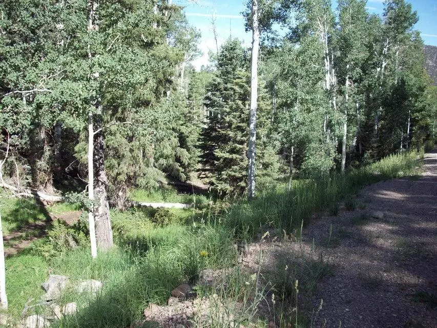 Beaver, UT 84713,Lot 1 Whispering Pines Sub #3