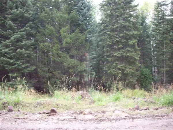 Beaver, UT 84713,Lot 1 Whispering Pines Sub #3