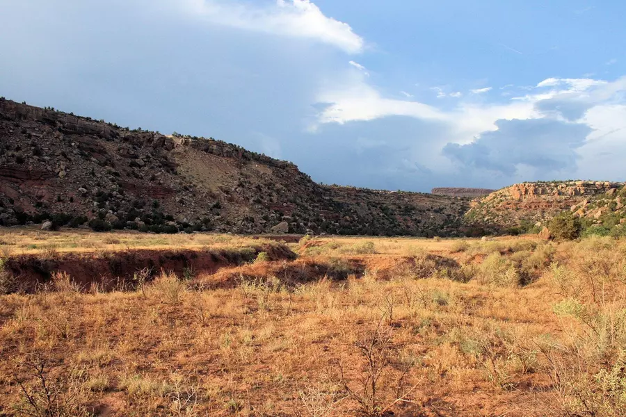 59.39 Acs Dalton Wash RD, Virgin, UT 84779