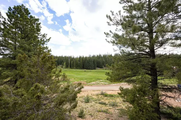 Duck Creek Village, UT 84762,910 N Harris Spring RD