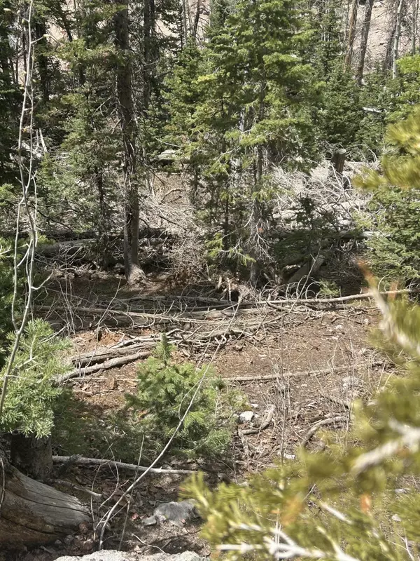 Brian Head, UT 84719,271 E Deer TRL