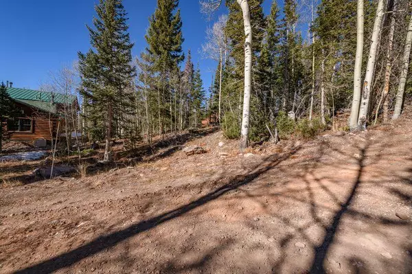 Brian Head, UT 84719,271 E Deer TRL