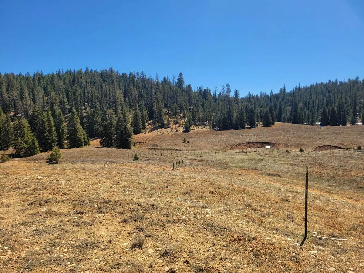 Duck Creek Village, UT 84762,520 N Grassy TRL