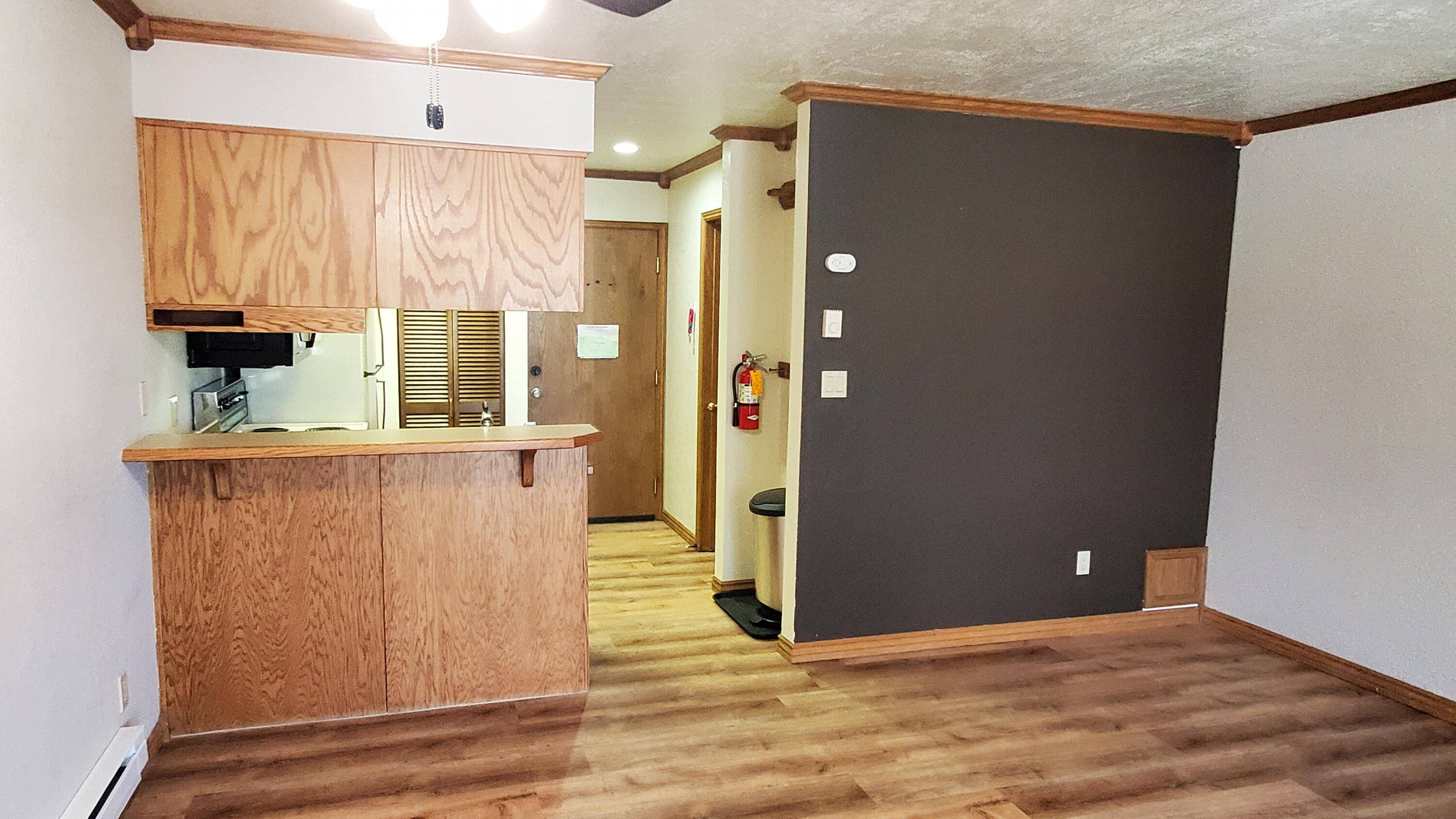Brian Head, UT 84719,150 W Ridge View #103