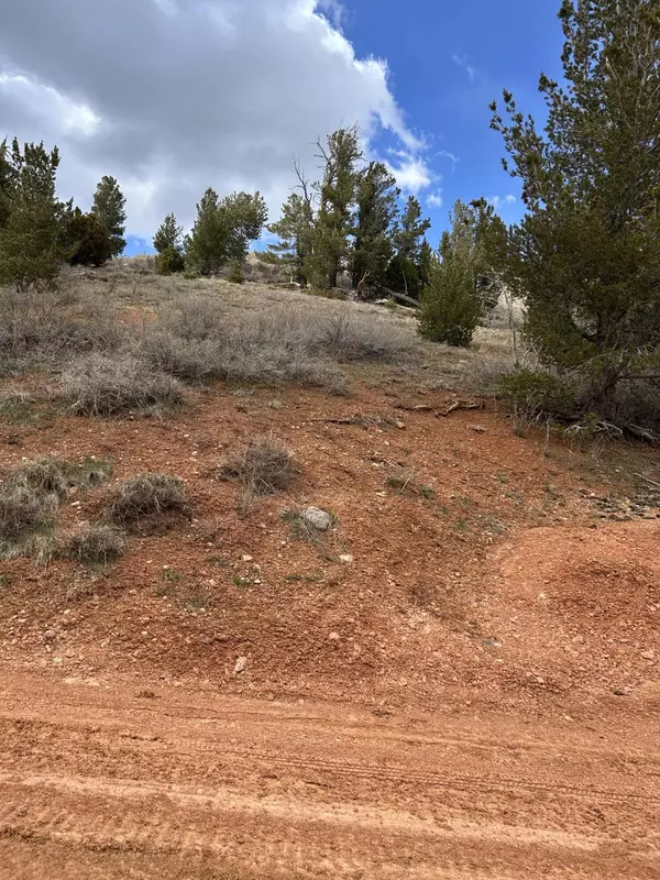 Brian Head, UT 84719,524 W Ski View DR