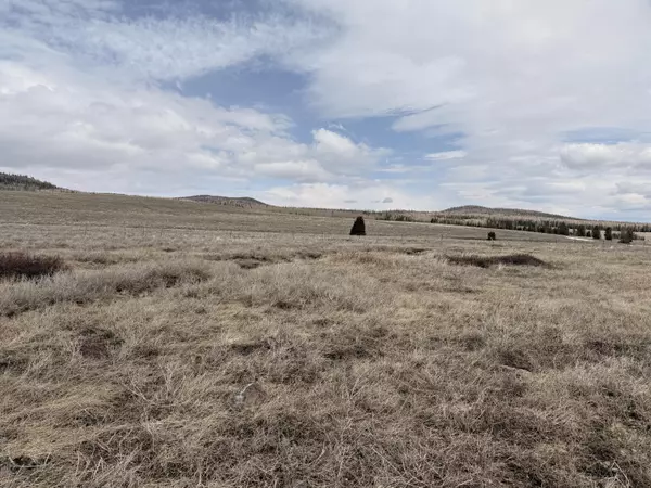 Brian Head, UT 84719,2533 E Meadow Lake DR