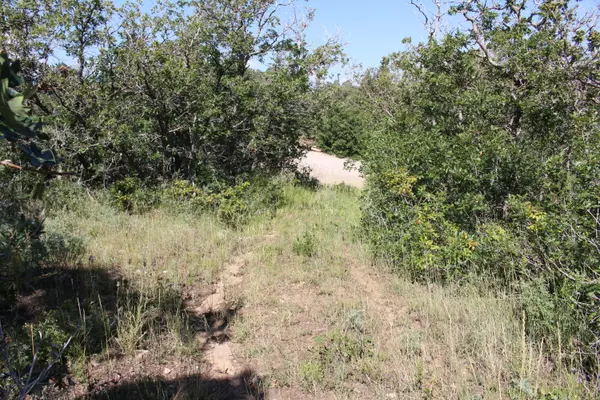 Cedar City, UT 84720,2289 S High Mountain View DR