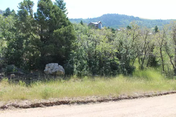 Cedar City, UT 84720,2289 S High Mountain View DR