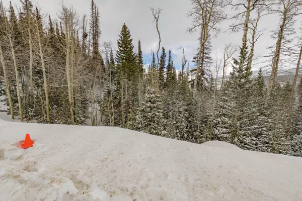 Brian Head, UT 84719,W Hunter Ridge DR