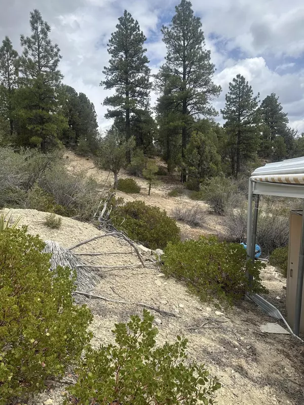 Orderville, UT 84758,11685 Fir RD