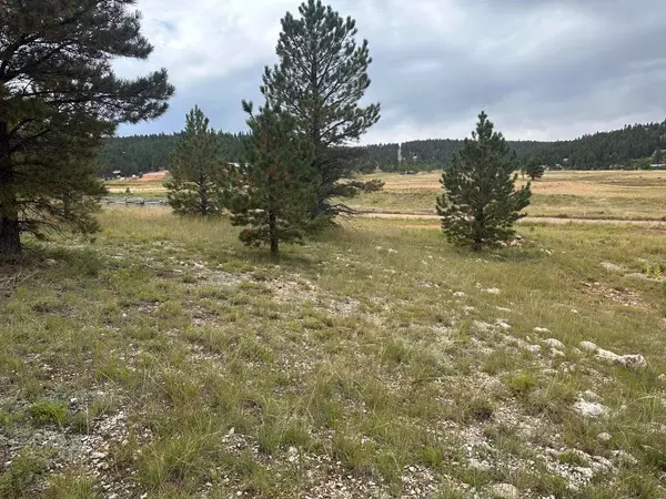 Duck Creek Village, UT 84762,2150 N Ridge View RD