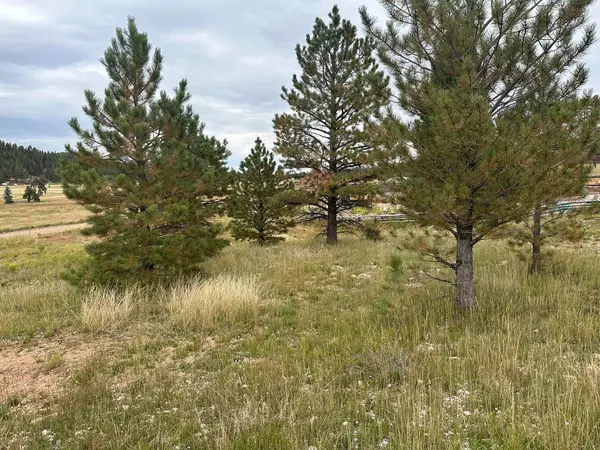 Duck Creek Village, UT 84762,2150 N Ridge View RD