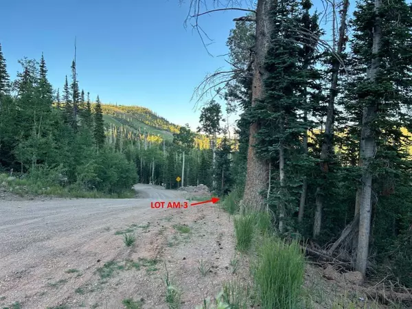 Brian Head, UT 84719,235 E Snowman DR