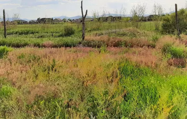 Cedar City, UT 84721,10.77 Acres Parcel: B-1548-000 #& Water Shares