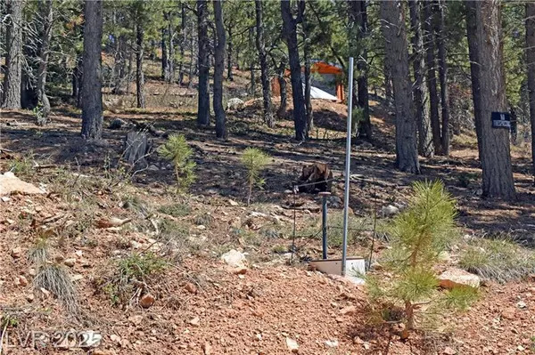Duck Creek Village, UT 84762,2195 E Sleepy Meadow LN