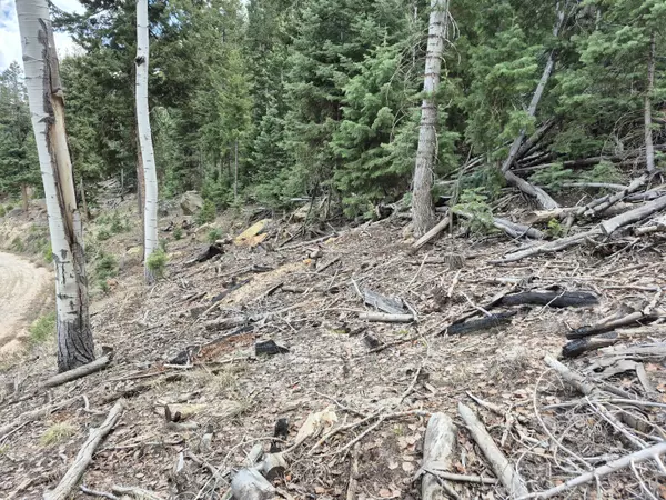 Duck Creek Village, UT 84762,lot 33,34 Bonnie Green RD