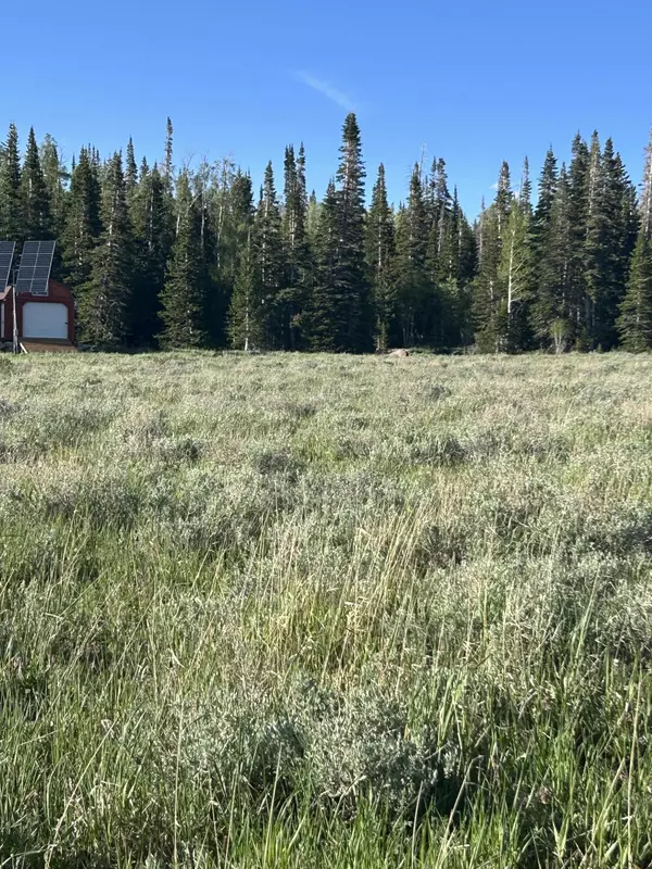 Brian Head, UT 84719,2133 E 2100 S