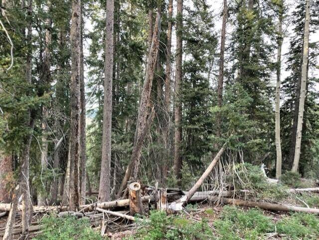 Lot 130 Arrowhead Subdivision, Beaver, UT 84713