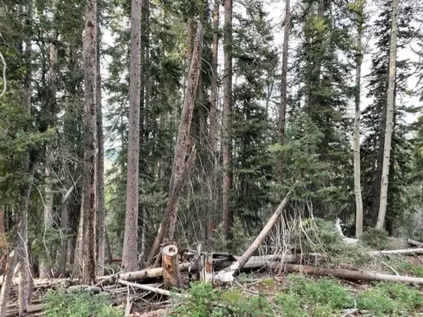 Beaver, UT 84713,Lot 130 Arrowhead Subdivision