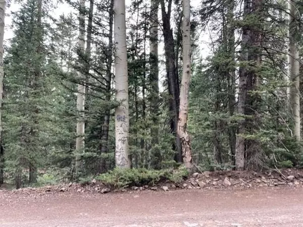 Beaver, UT 84713,Lot 51 Arrowhead Subdivision