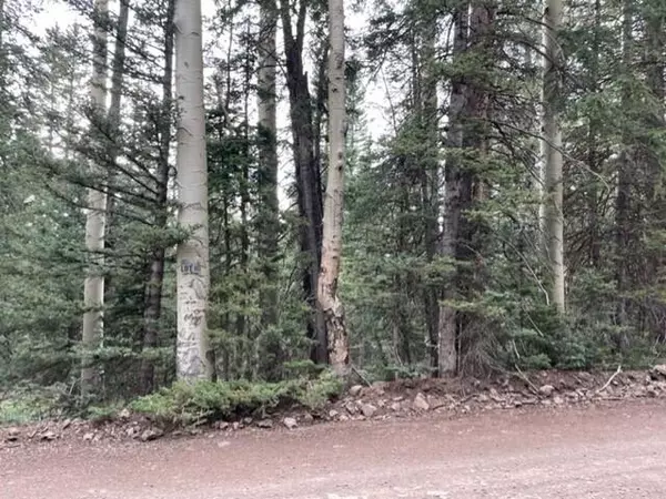 Beaver, UT 84713,Lot 51 Arrowhead Subdivision