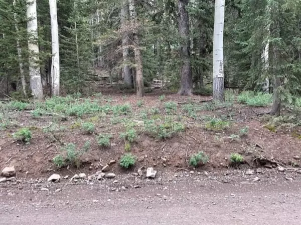 Beaver, UT 84713,Lot 47 Arrowhead Subdivision