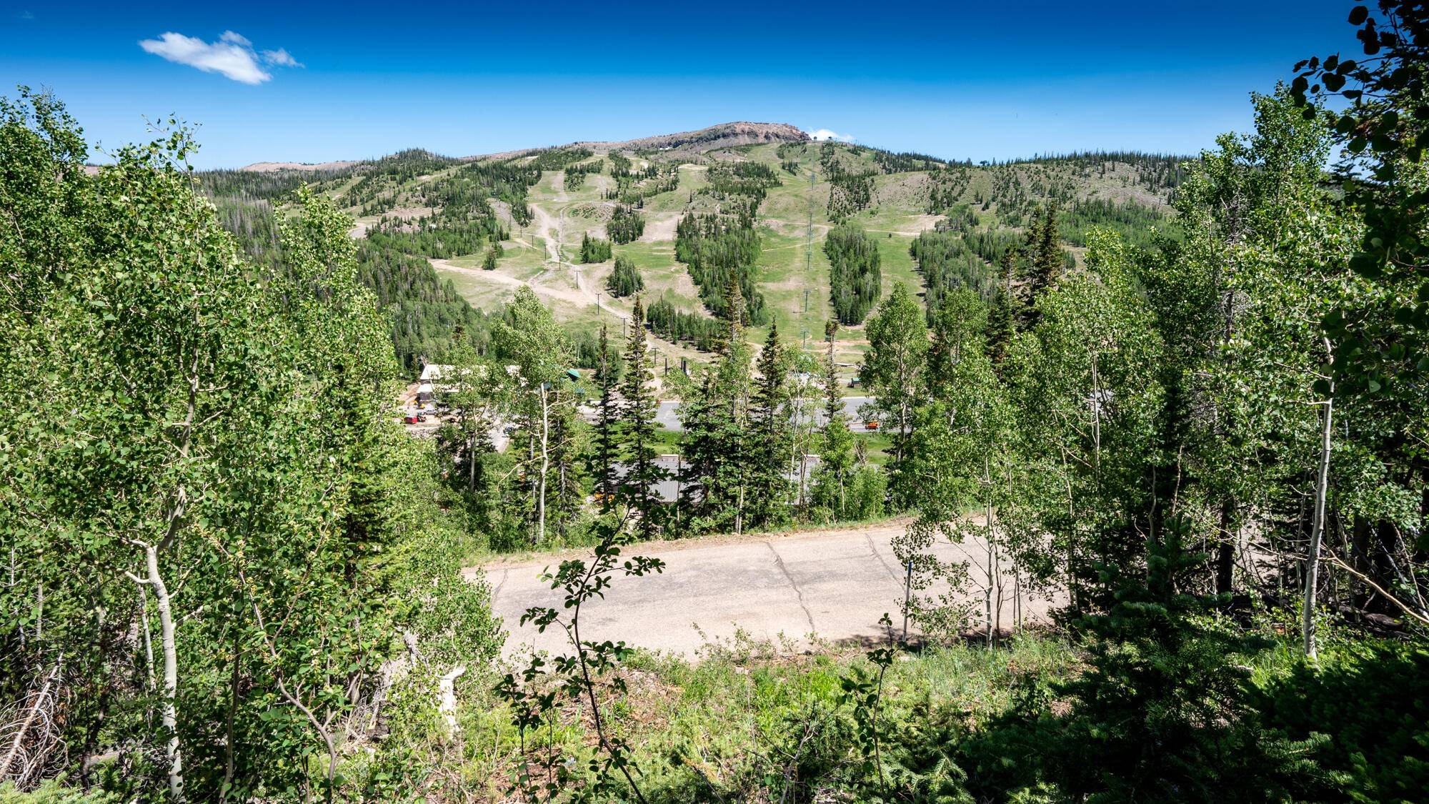 254 W Pinehurst ST, Brian Head, UT 84719