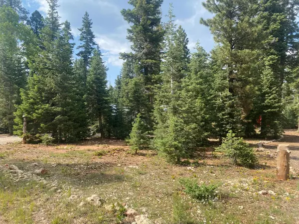 Duck Creek Village, UT 84762,105 E Christensen RD