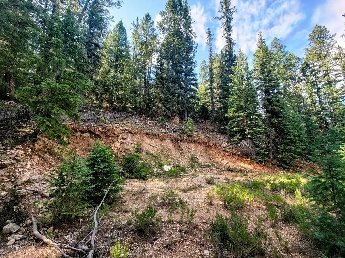 Duck Creek Village, UT 84762,770 N Skyline View DR